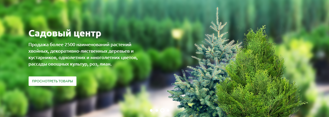 Разработка веб-сайта на битрикс, веб-студия г. Белгород — проект «Зелёный мир»
