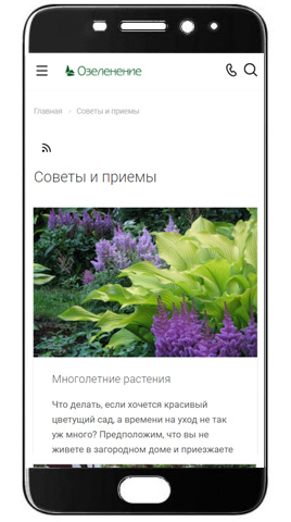 Озеленение_Смартфон1.jpg